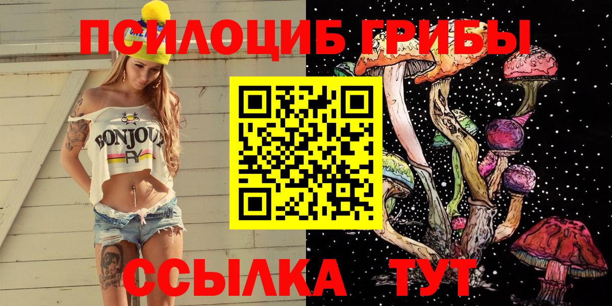Псилоцибиновые грибы мухоморы Тула